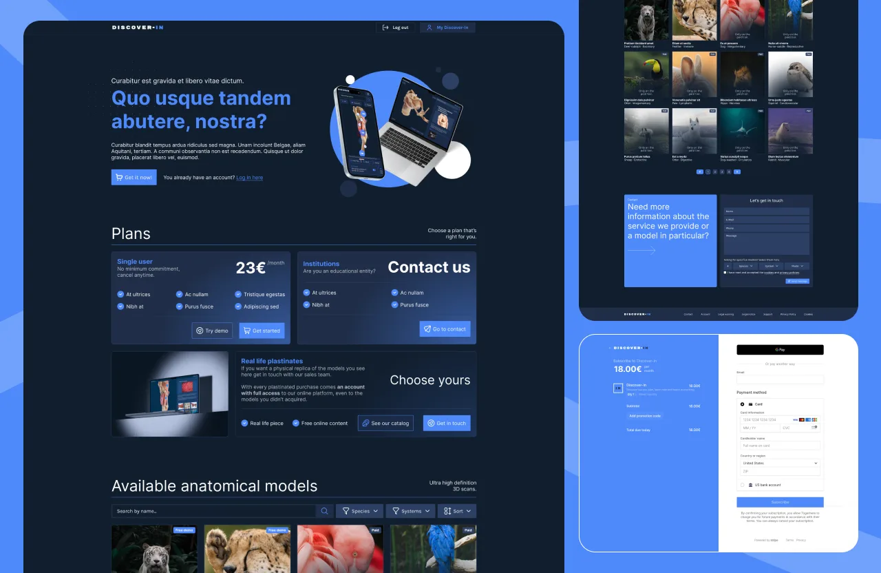 User flow